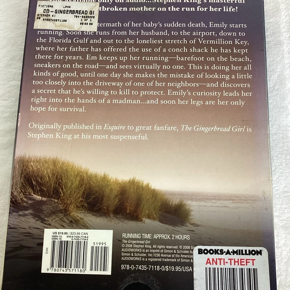 The Gingerbread Girl by Stephen King Audiobook, 2 Discs Read by Mare Winningham